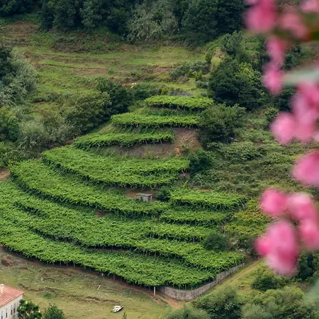 Casa Do Rosario By An Island * São Vicente