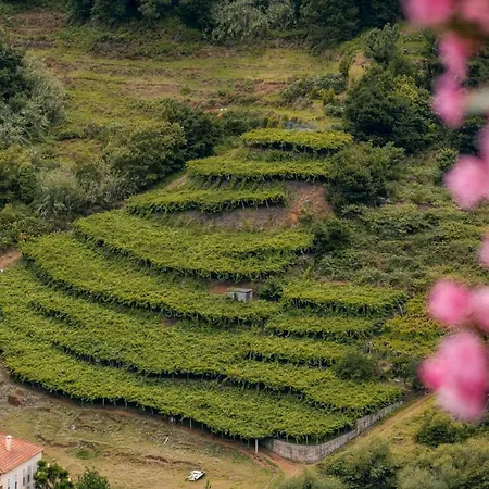 Casa Do Rosario By An Island Σπίτι διακοπών São Vicente