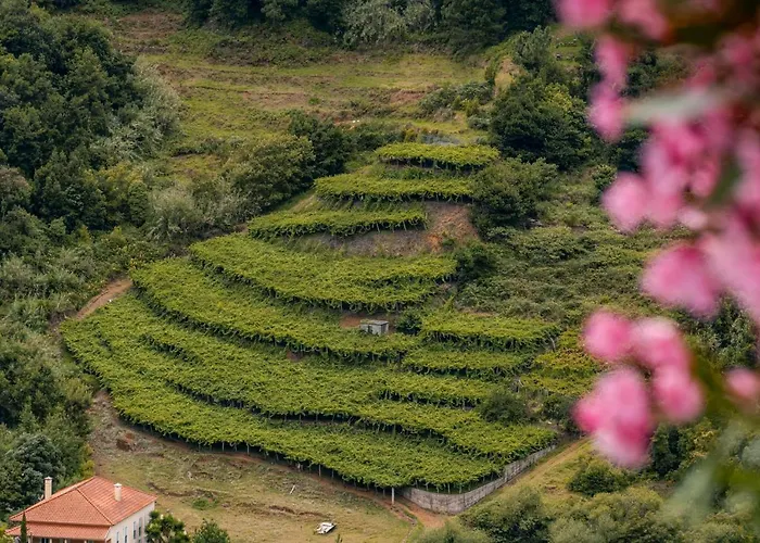 Casa Do Rosario By An Island בית נופש São Vicente