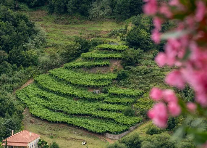 Casa Do Rosario By An Island * São Vicente